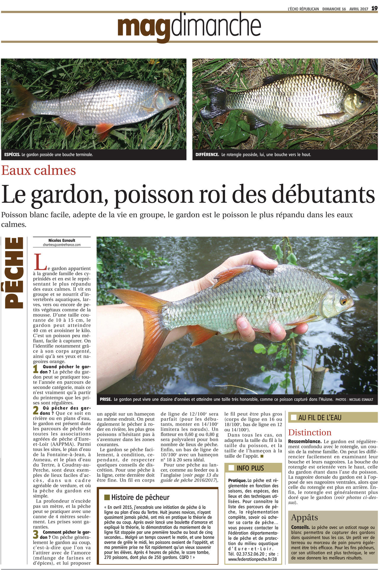 10 conseils pour bien pêcher la carpe en Seine - Peche et Poissons   Carnassiers, carpe, truite, mer, coup… Toute l'actu de la pêche